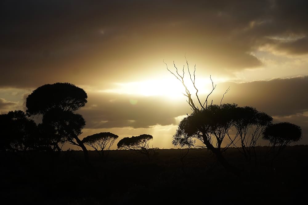オーストリアからオーストラリアへ ふたりの自転車大冒険の画像