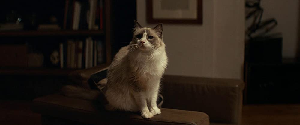 アンチャーテッドの画像