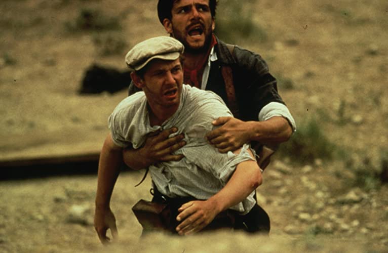 大地と自由の画像