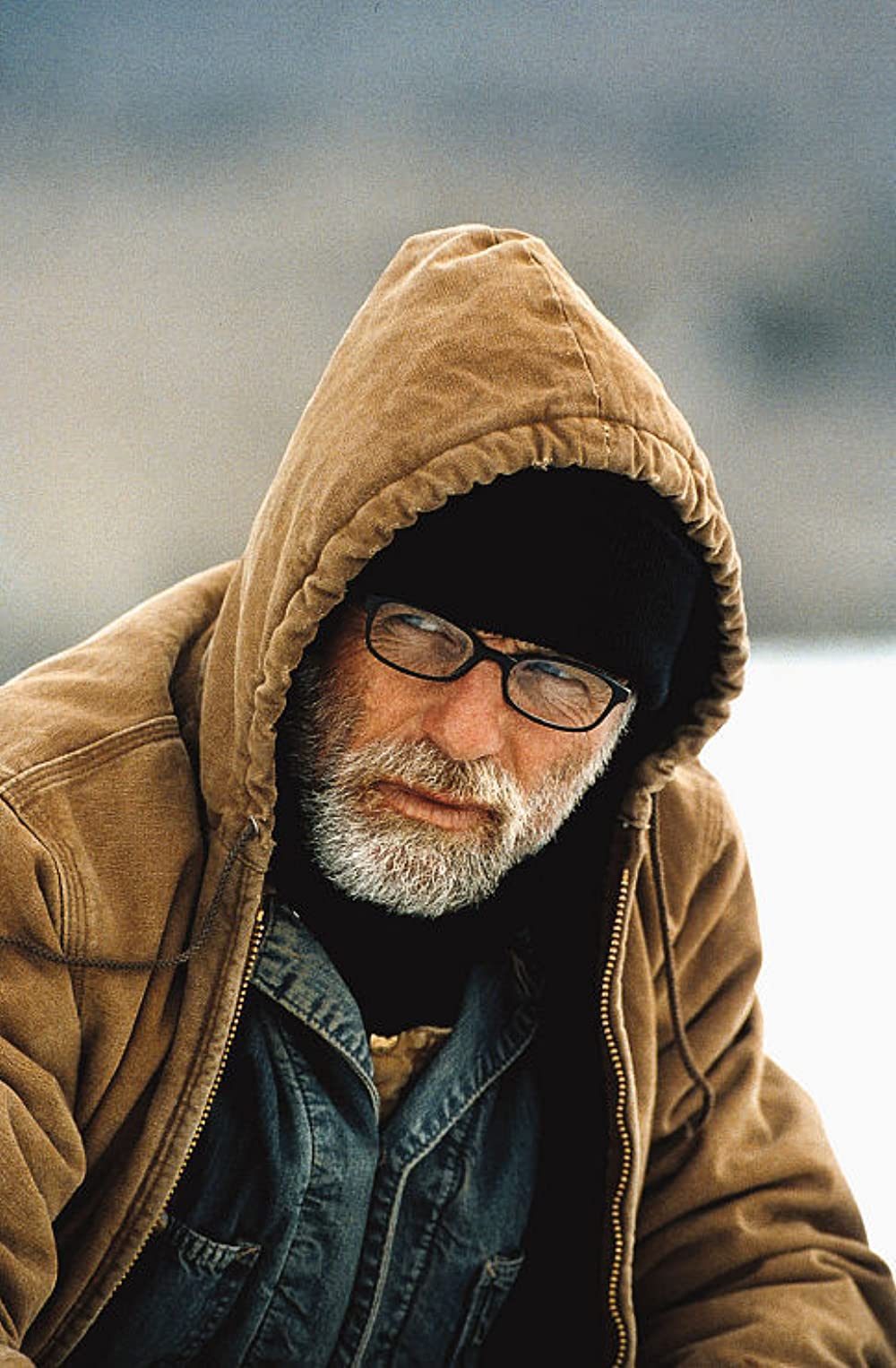 白いカラスの画像