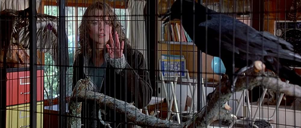 白いカラスの画像