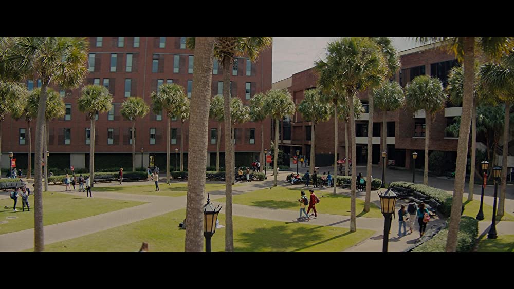 ナイトティースの画像