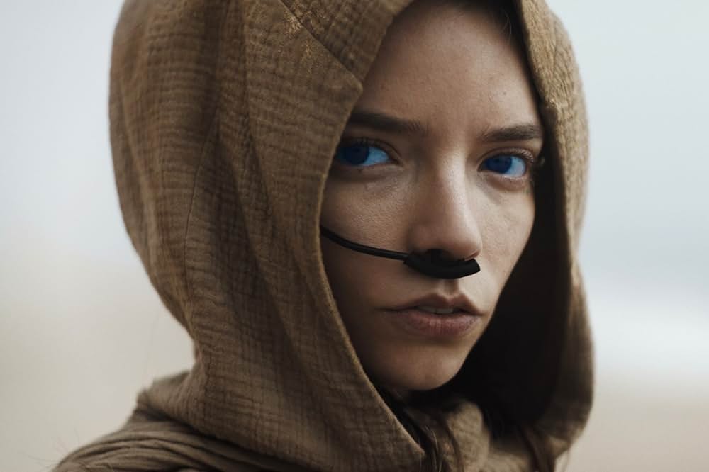 デューン 砂の惑星PART2の画像