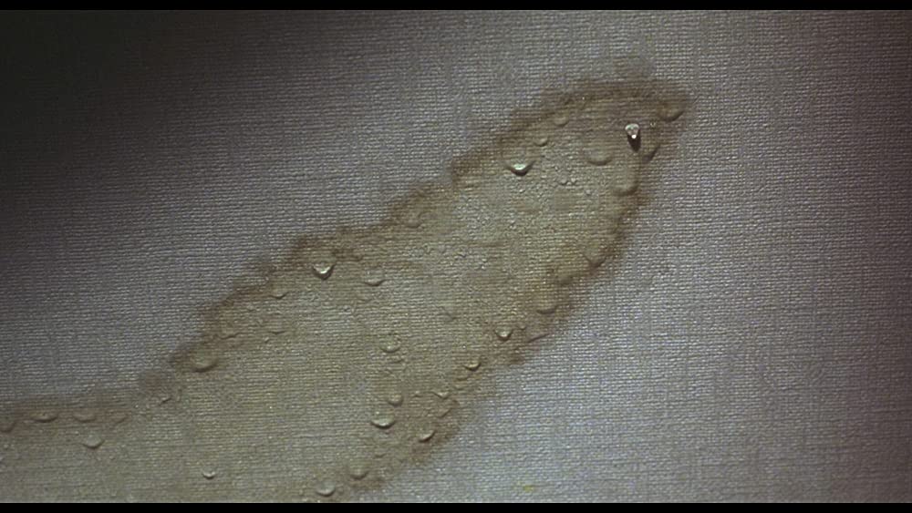 仄暗い水の底からの画像