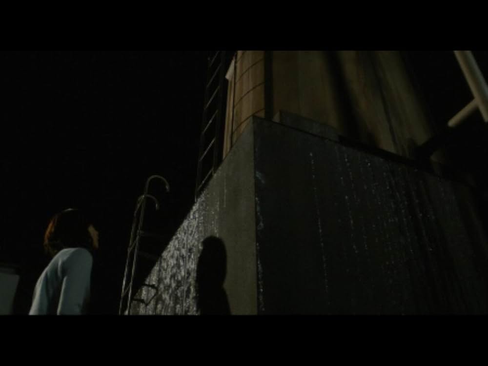 仄暗い水の底からの画像