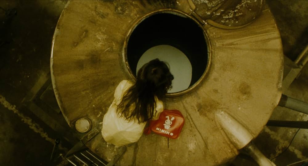 仄暗い水の底からの画像