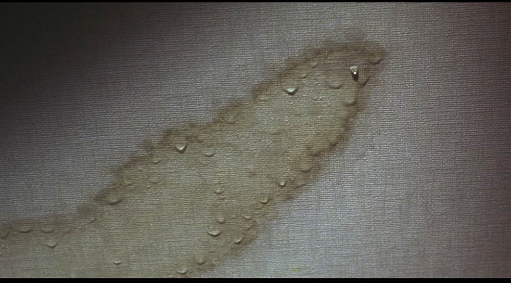 仄暗い水の底からの画像