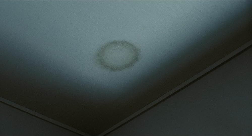 仄暗い水の底からの画像