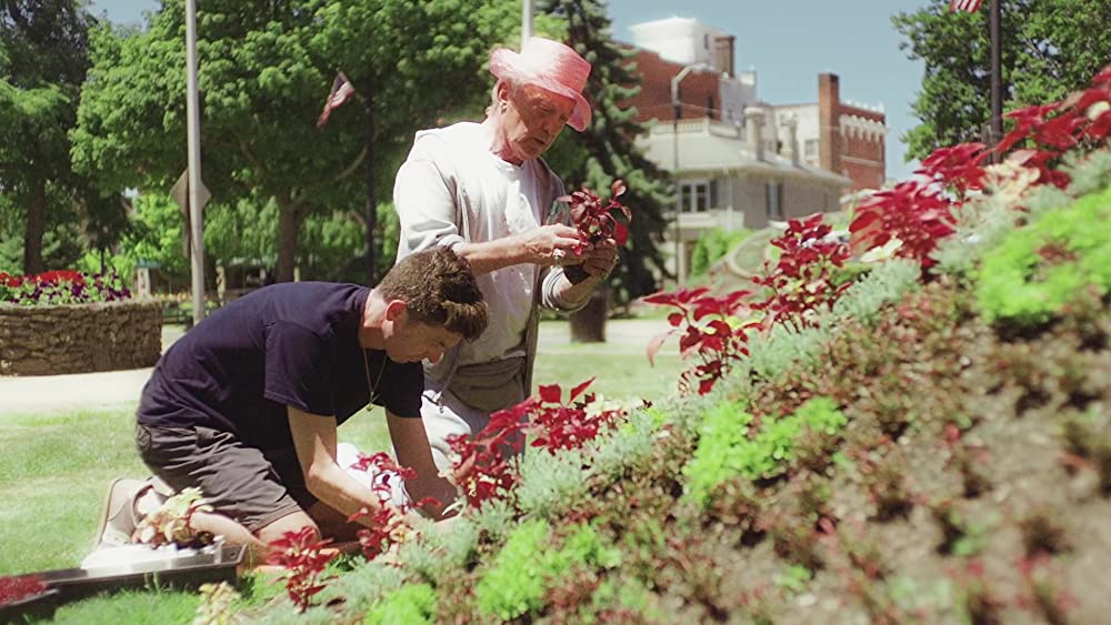 スワンソングの画像