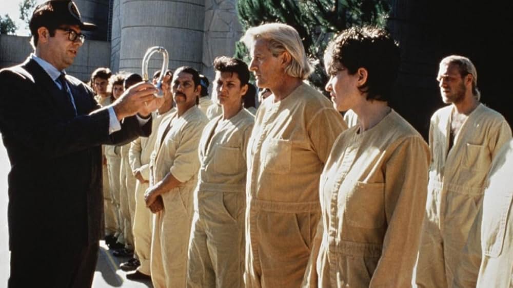 ウェドロックの画像