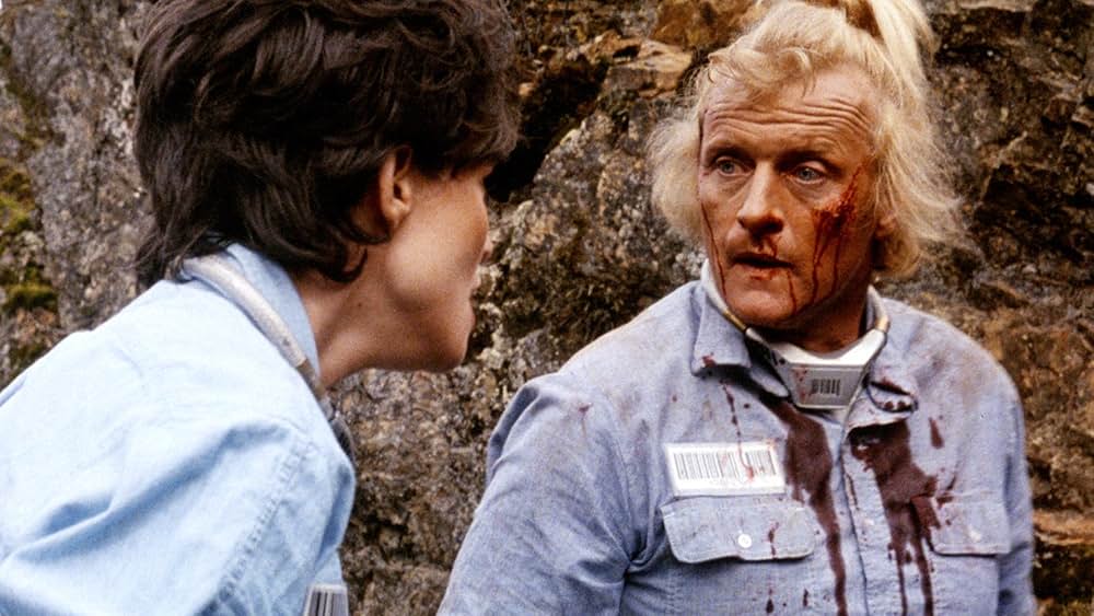 ウェドロックの画像