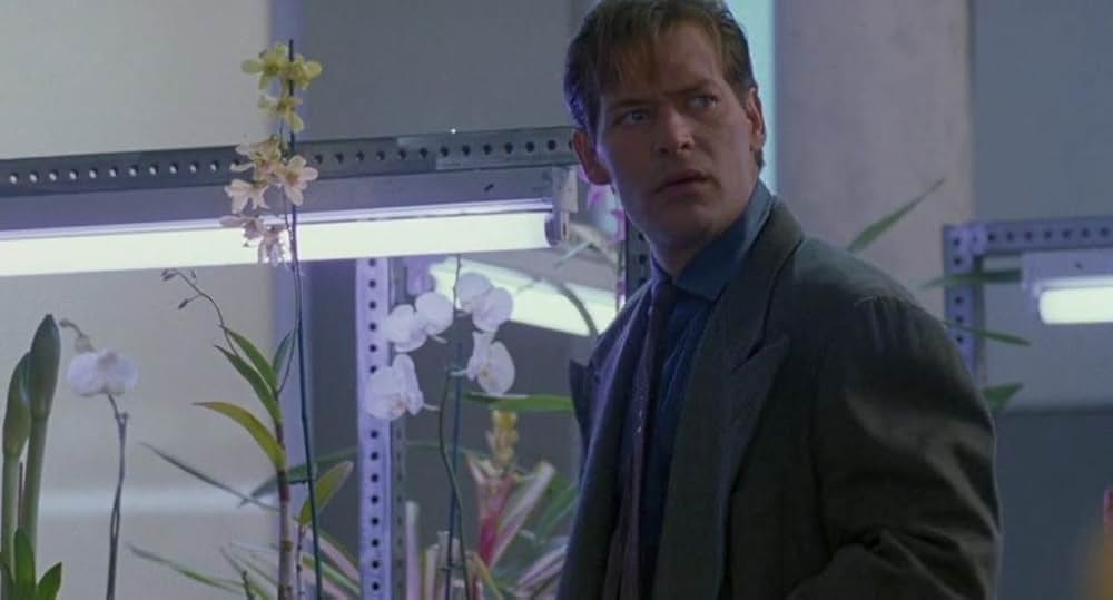 ウェドロックの画像