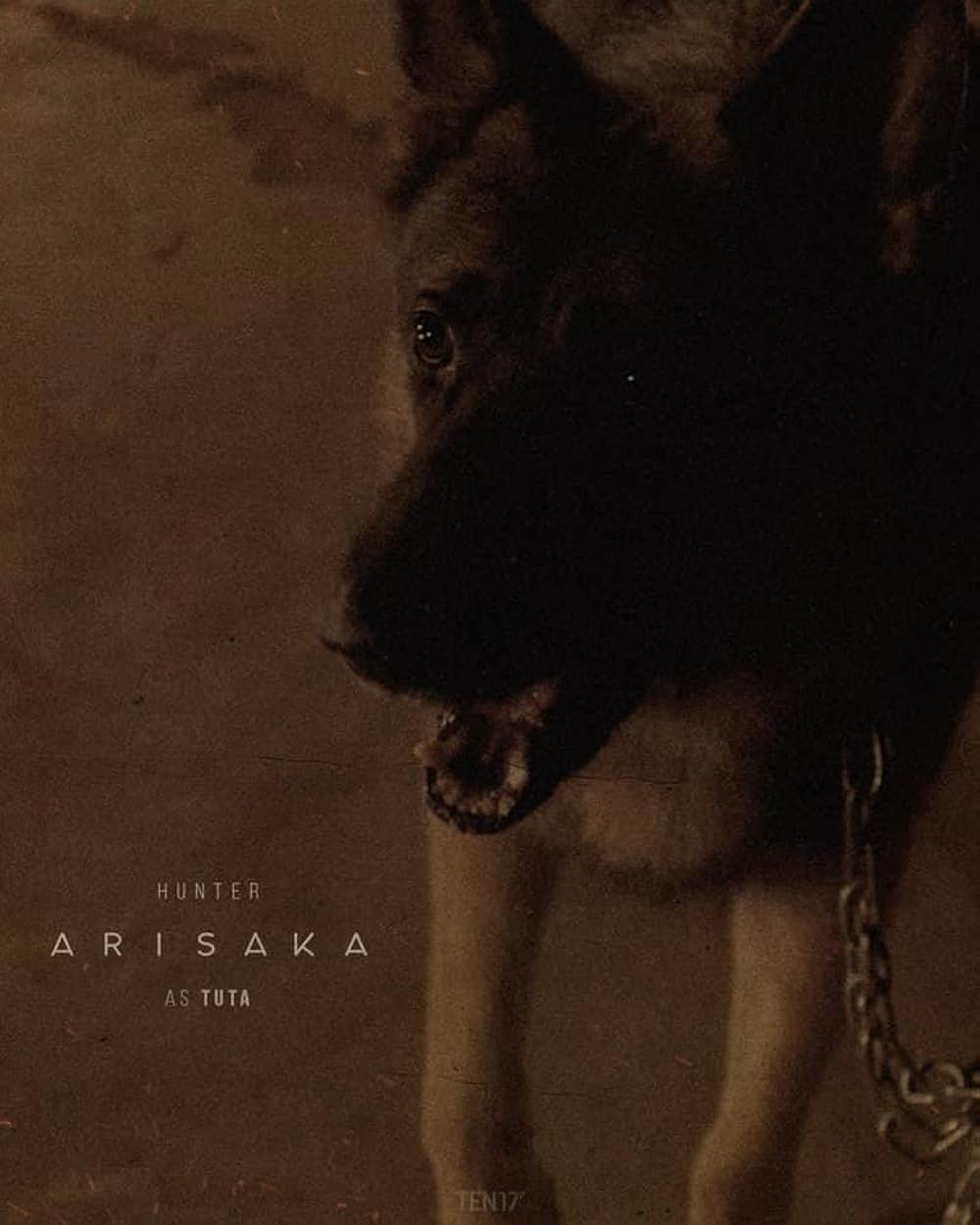 アリサカの画像