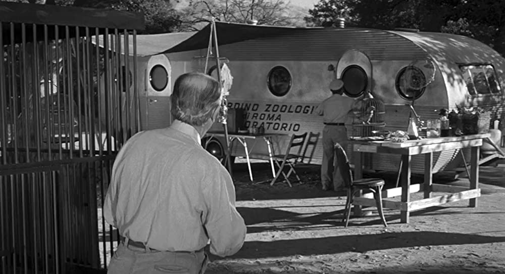 地球へ2千万マイルの画像