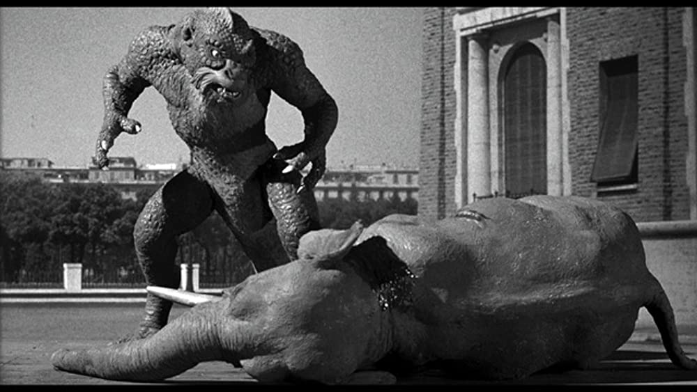 地球へ2千万マイルの画像