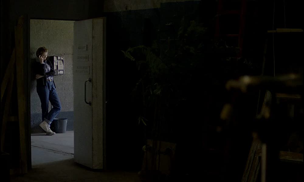 スーヴェニア 私たちが愛した時間／ザ・スーベニア 魅せられての画像