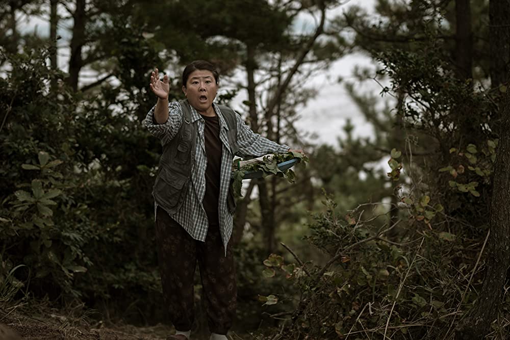 ひかり探しての画像