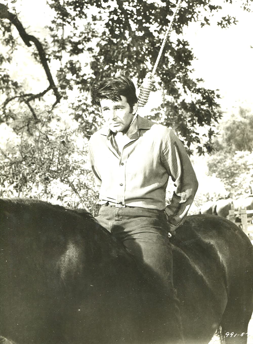 「フォート・ブロックの決斗」スチュアート・ホイットマンの画像