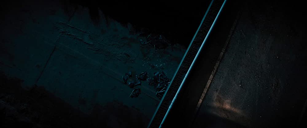 「フィンチ」の画像