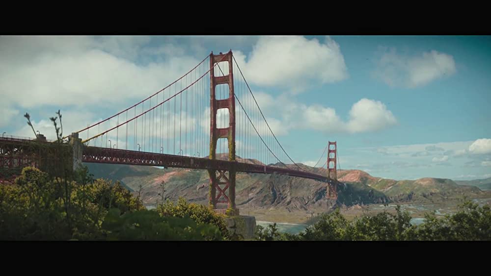 「フィンチ」の画像