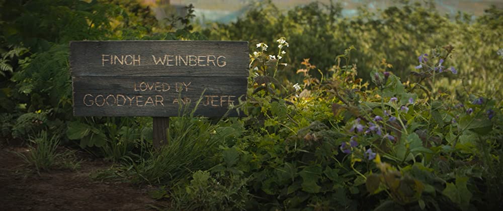 「フィンチ」の画像