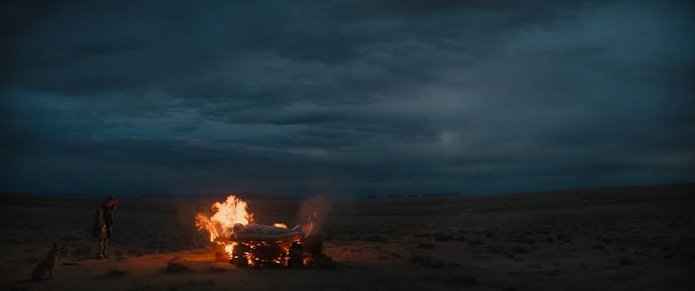 「フィンチ」の画像
