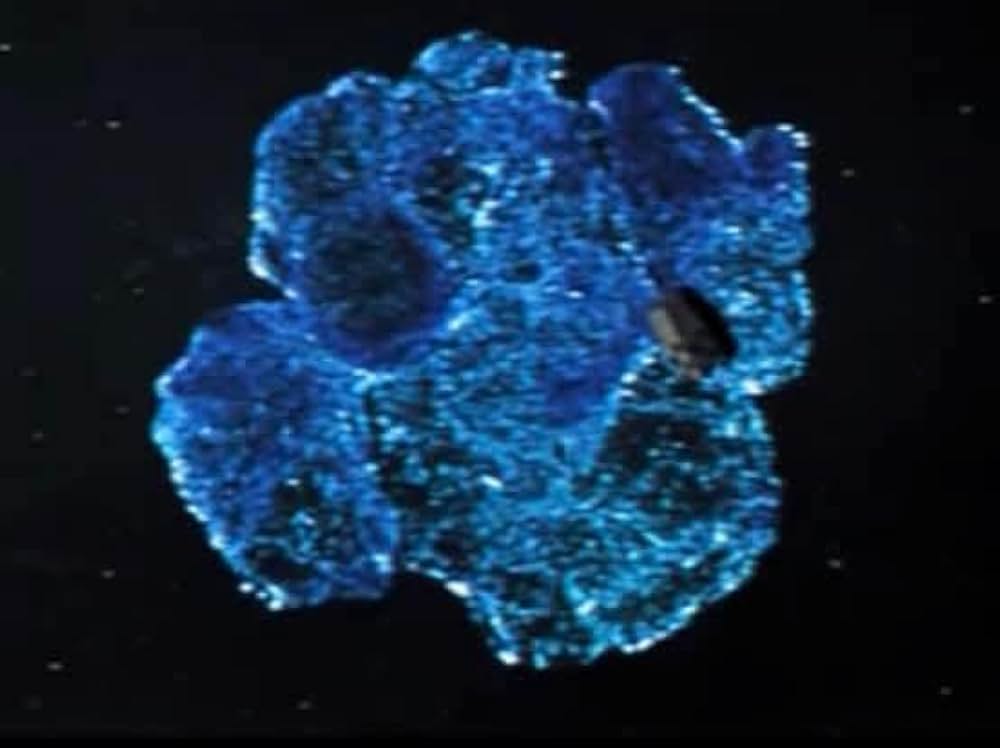 宇宙大怪獣ドゴラの画像