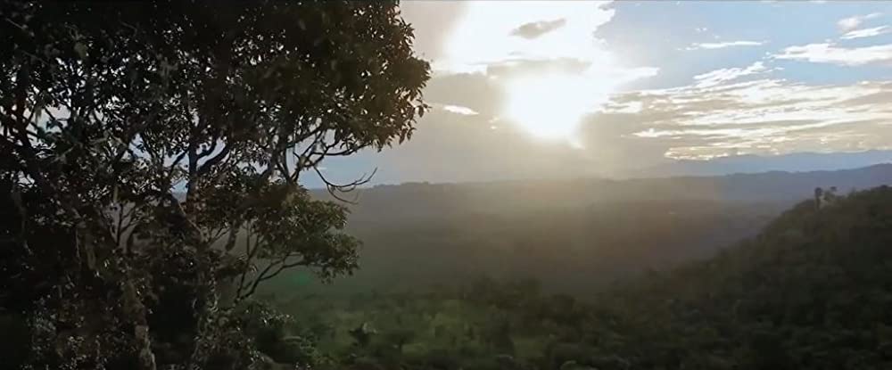 ジャングル・ツアーズの画像