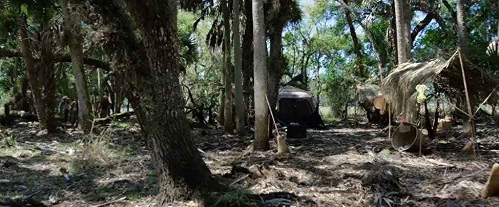 ジャングル・ツアーズの画像