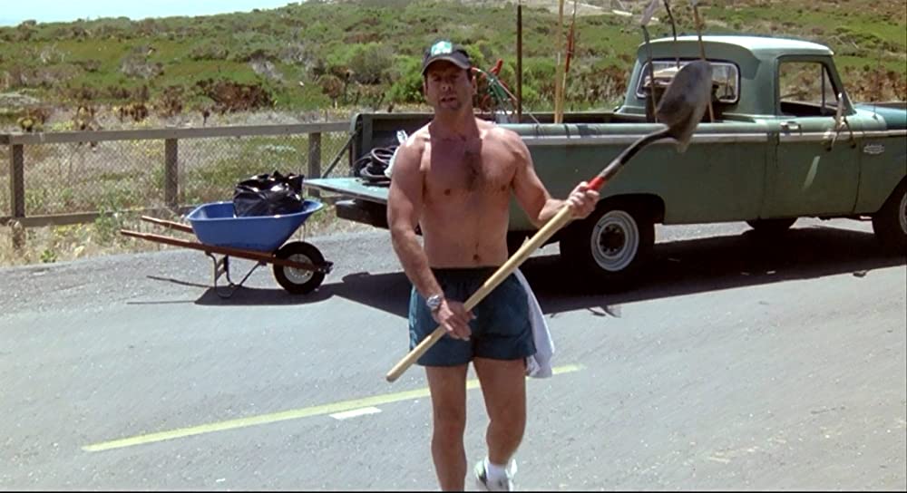 薔薇の素顔の画像