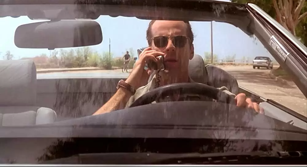 薔薇の素顔の画像