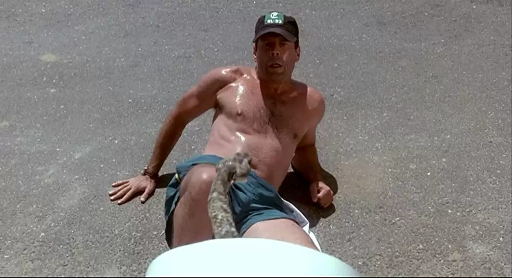 薔薇の素顔の画像