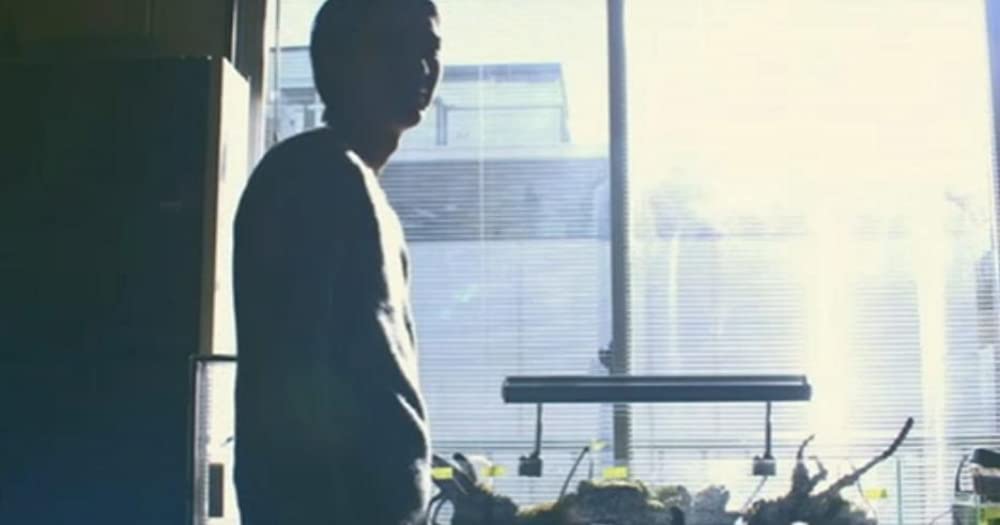 恋するマドリの画像