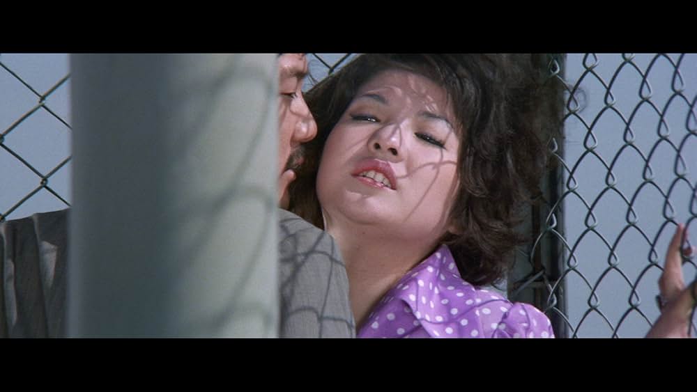 牝猫たちの夜の画像