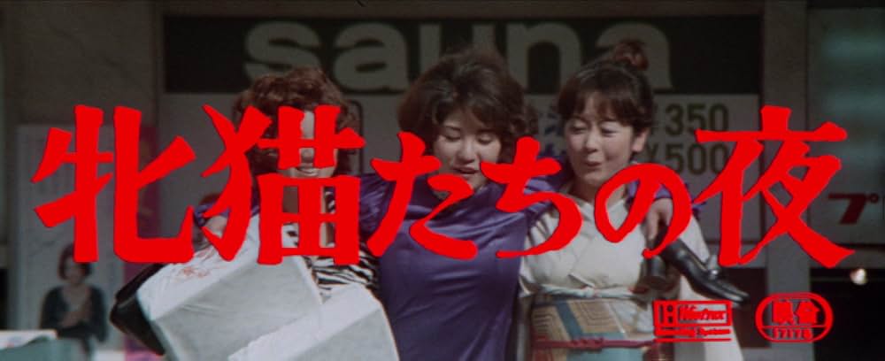 牝猫たちの夜の画像