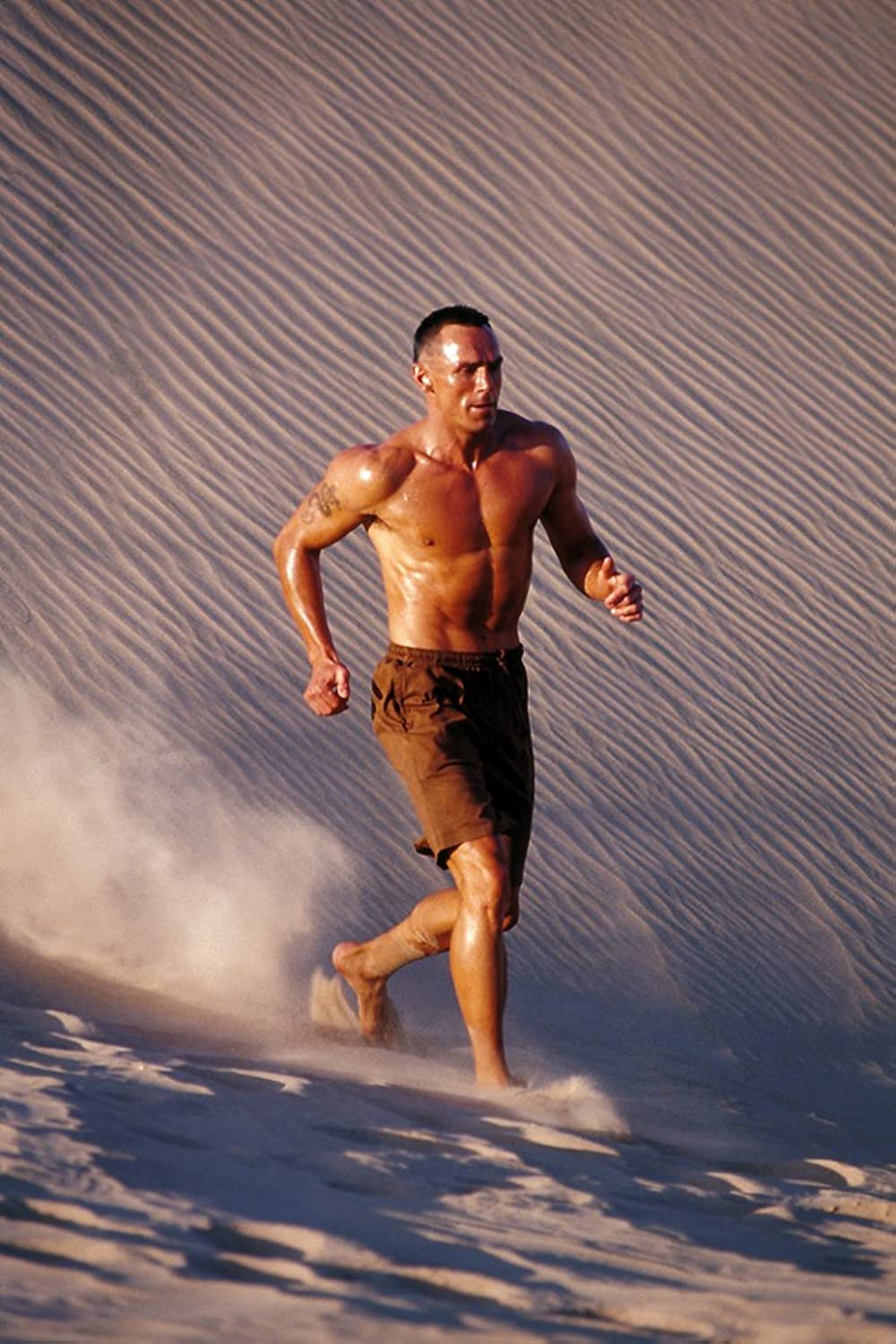 ネメシス4の画像