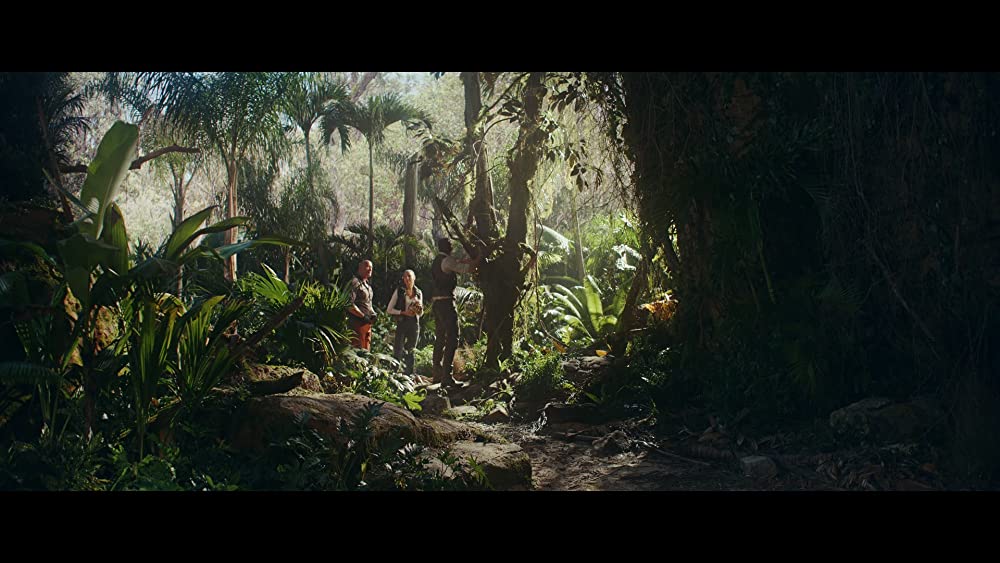 レッド・ノーティスの画像