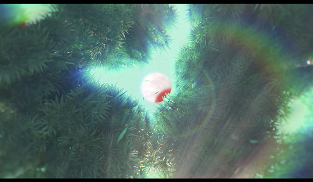 私ときどきレッサーパンダの画像