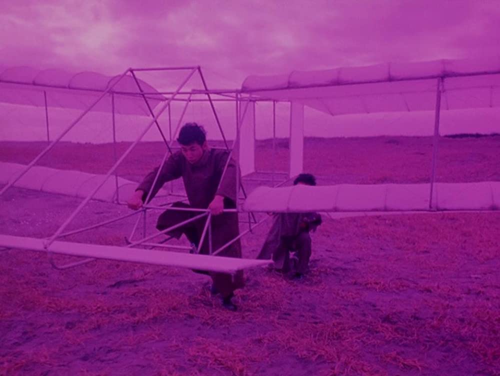 「書を捨てよ町へ出よう」の画像