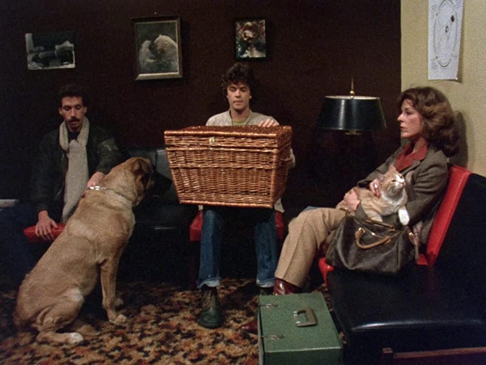 バスケット・ケースの画像