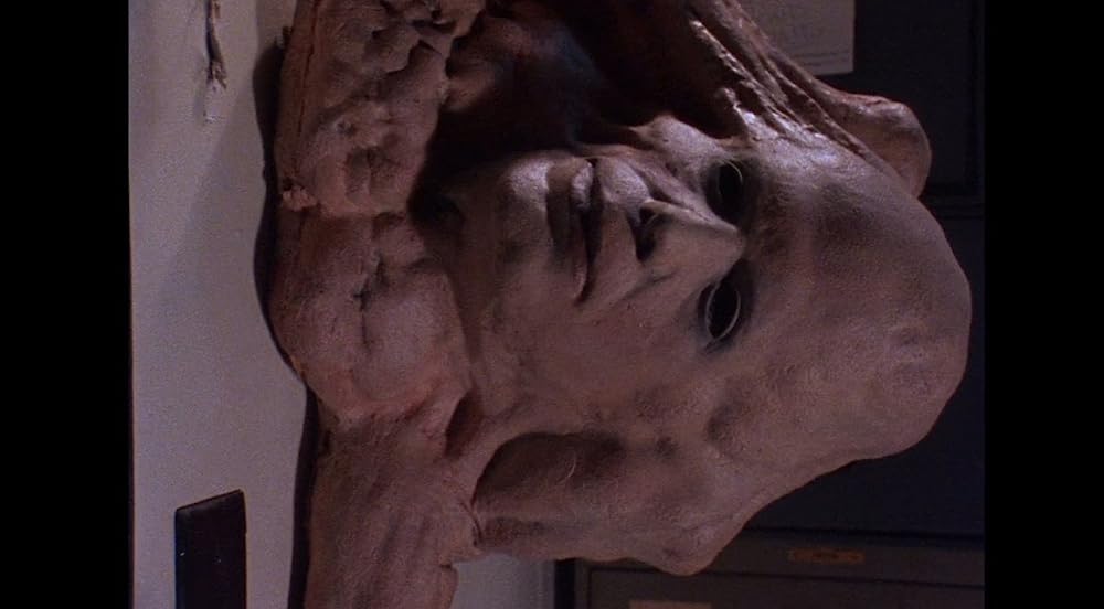 バスケット・ケースの画像