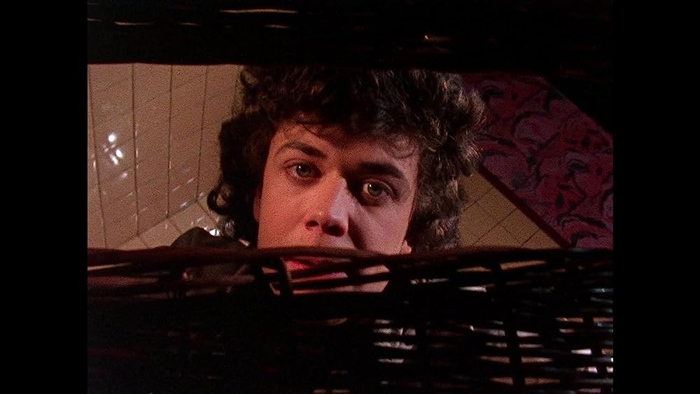 バスケット・ケースの画像