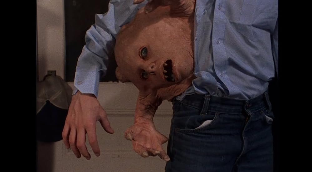 バスケット・ケースの画像