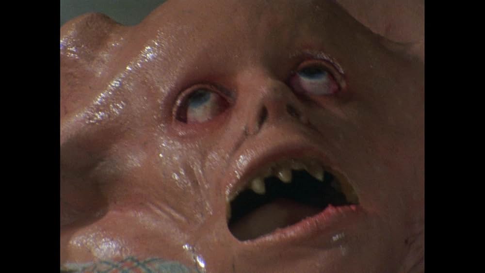 バスケット・ケースの画像