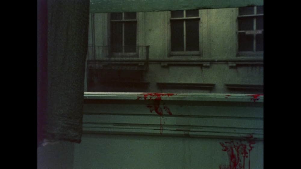 バスケット・ケースの画像