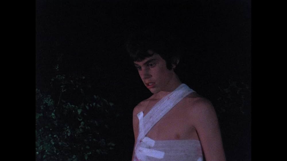 バスケット・ケースの画像