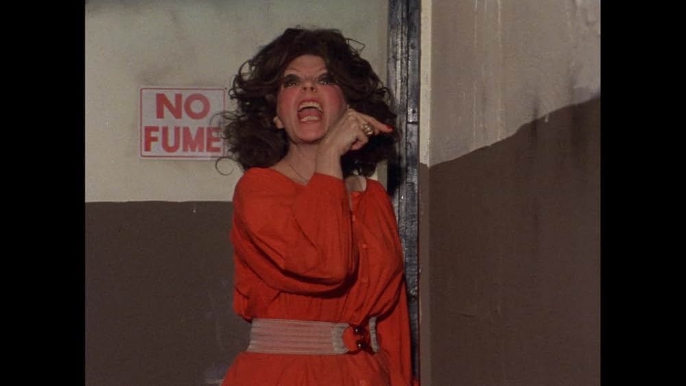 バスケット・ケースの画像