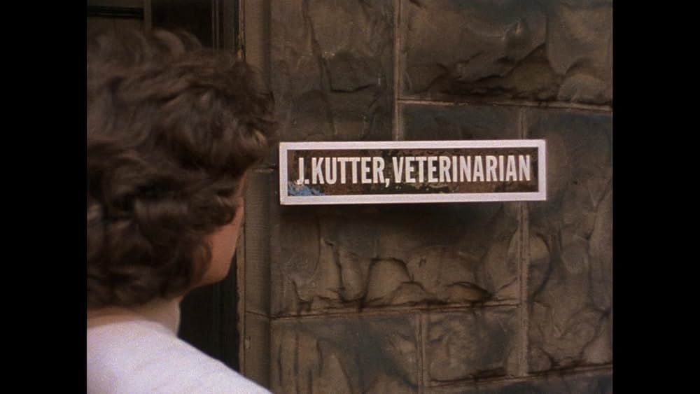 バスケット・ケースの画像