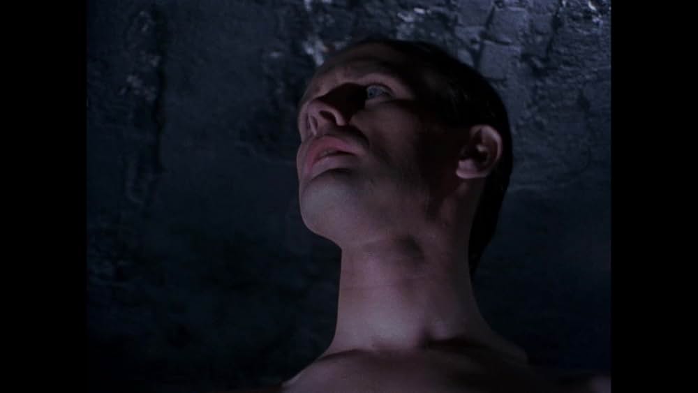 バスケット・ケースの画像