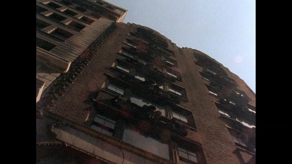 バスケット・ケースの画像